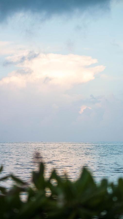 Quinta Punta Sam Villa Cancun Bagian luar foto